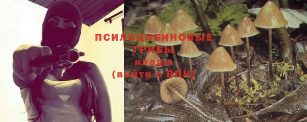 ПСИЛОЦИБИНОВЫЕ ГРИБЫ Алексин